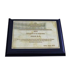 Premio Excelencia en Seguridad Mapfre