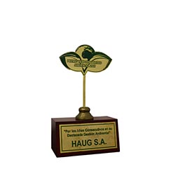 Premio Responsabilidad Ambiental 2017