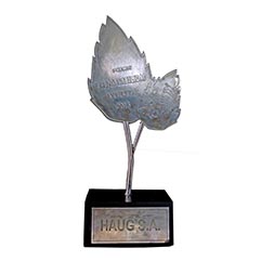 Premio Ghiis Jáa